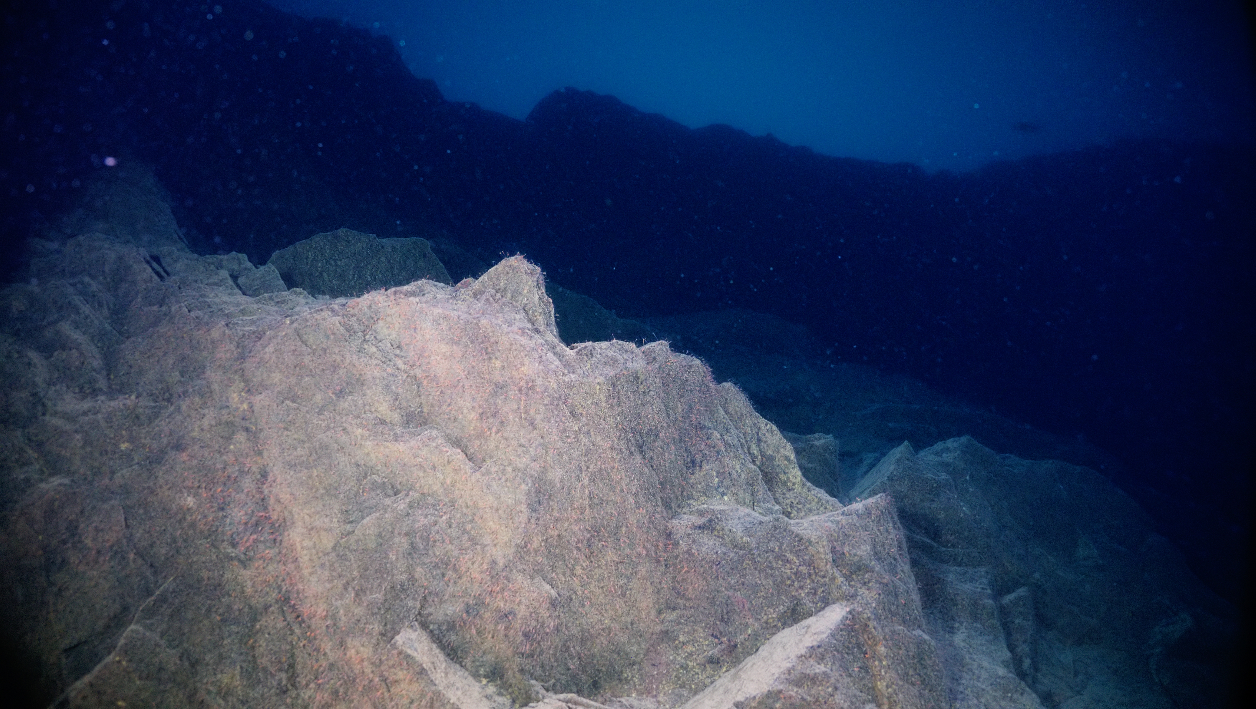 The Superior Shoal View of the Superior Shoal