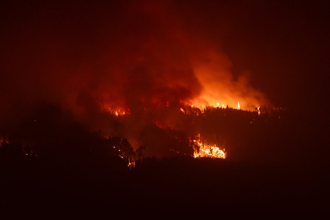 Forest Fire Aerial view of forest fire burning at night