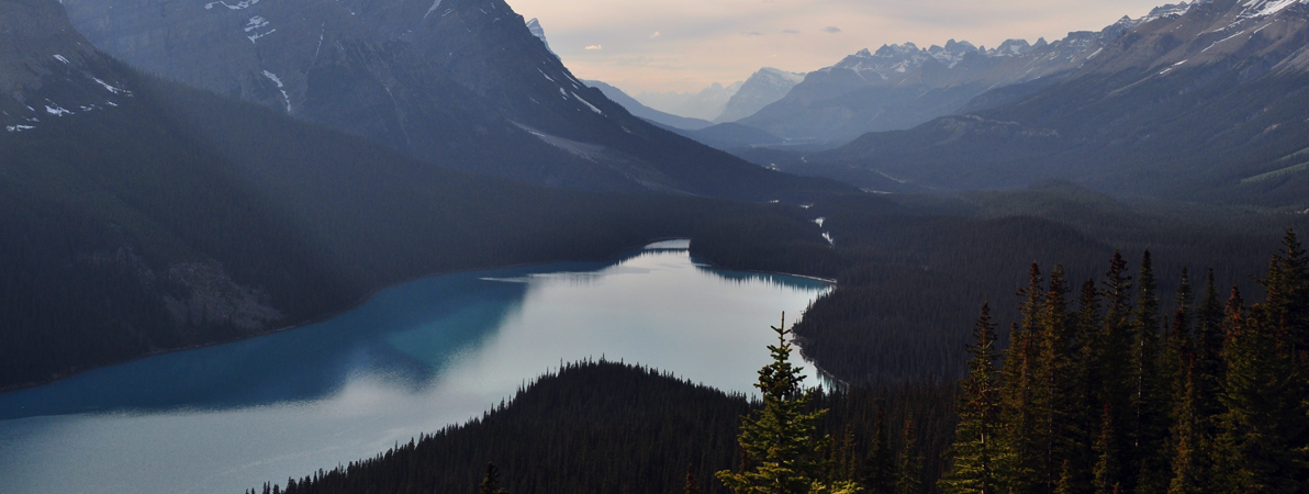 lakehead-science-one-lakehead-university