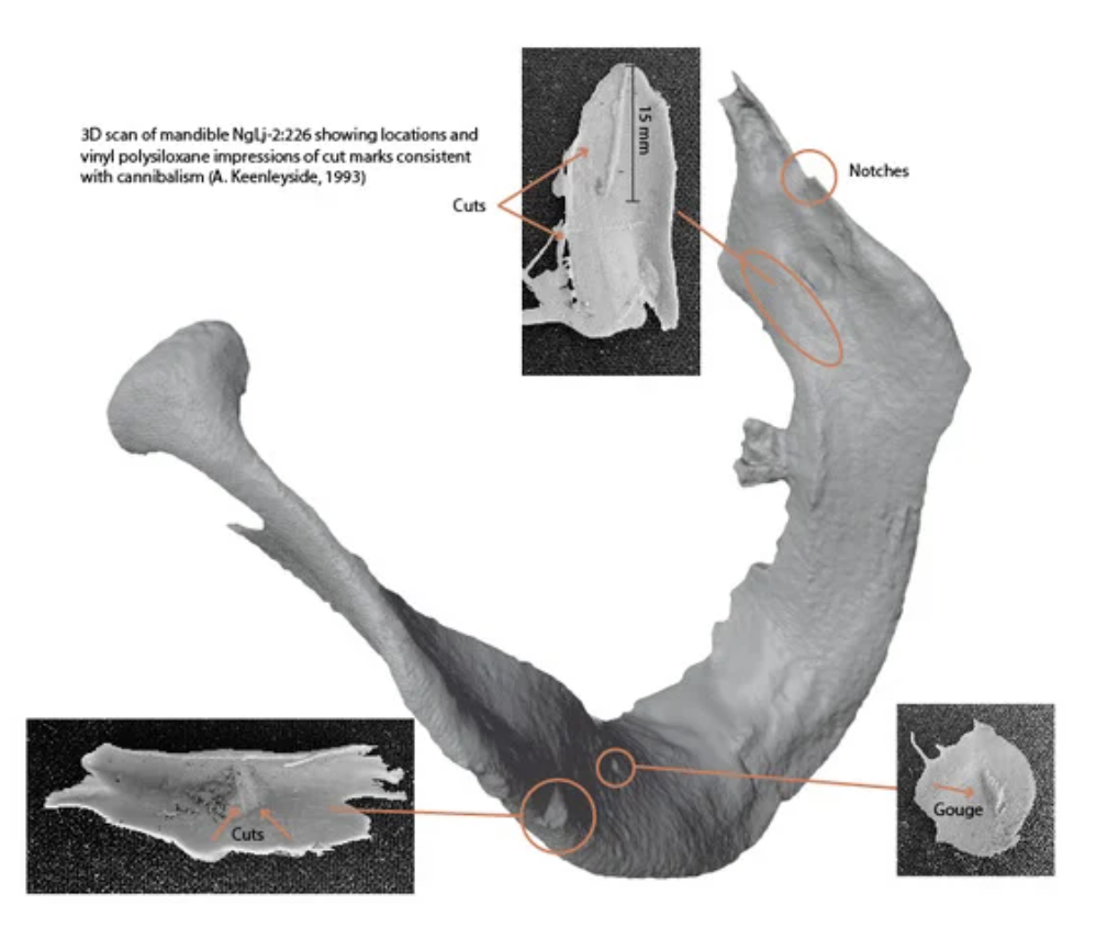 3D Scan