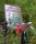 a group of students looking at a sign that says "Hawkeye Lake Watershed Study"