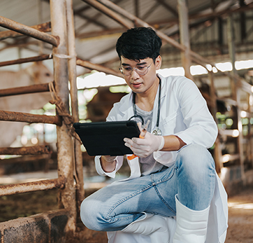 Student vets on an ipad at a farm after reviewing animals