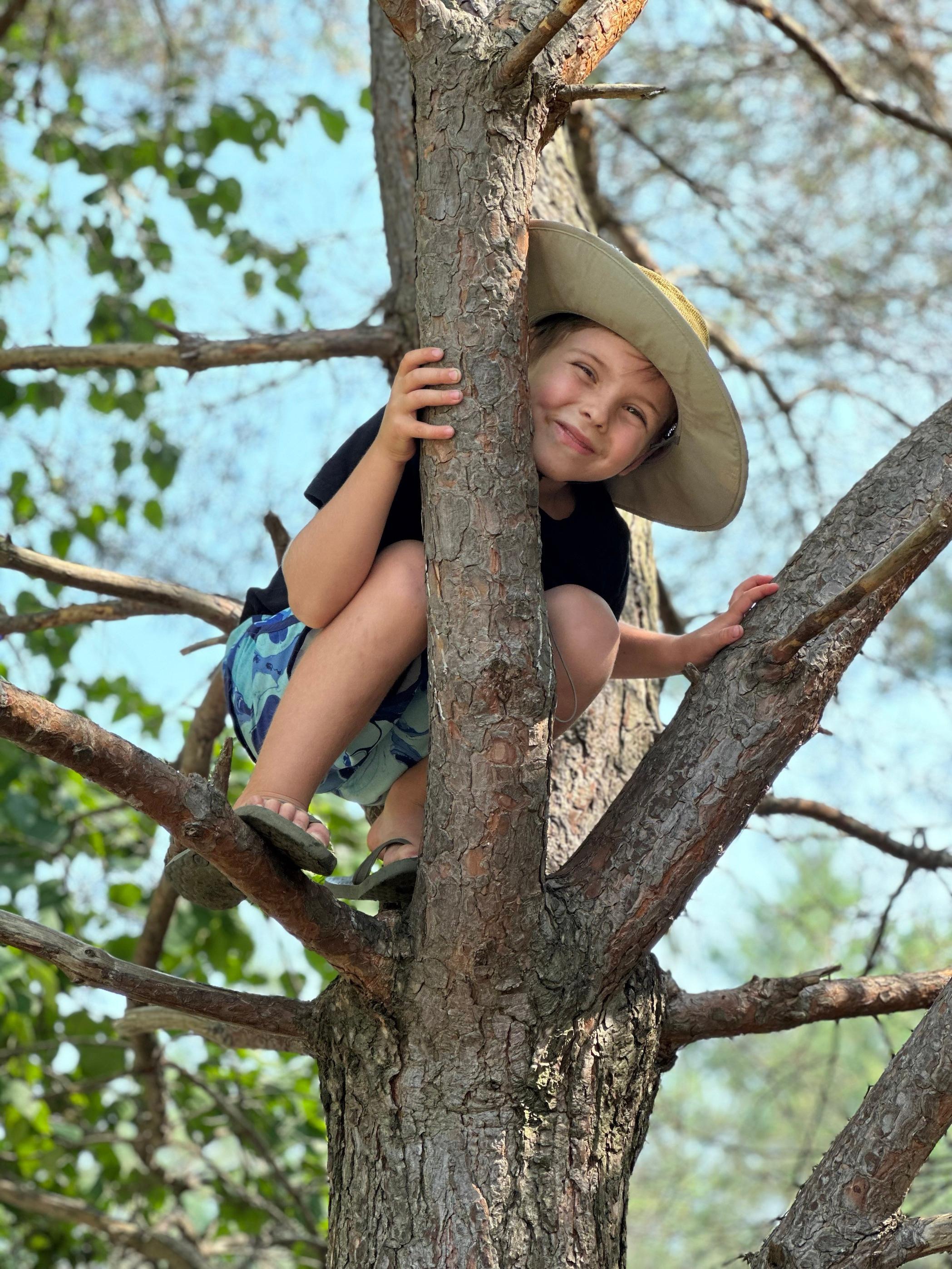 Boy in a tree