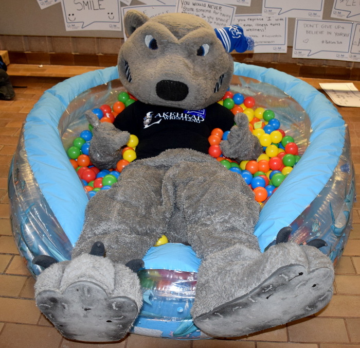 Photo of Wolfie in the ball pool. 