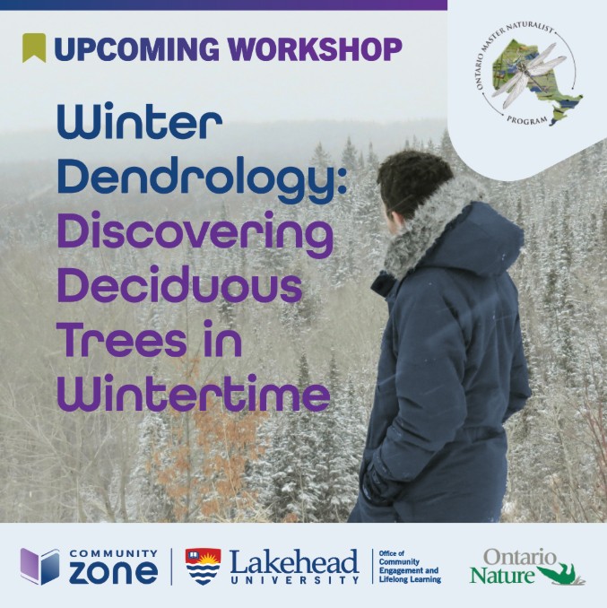 Winter Dendrology Winter Dendrology poster