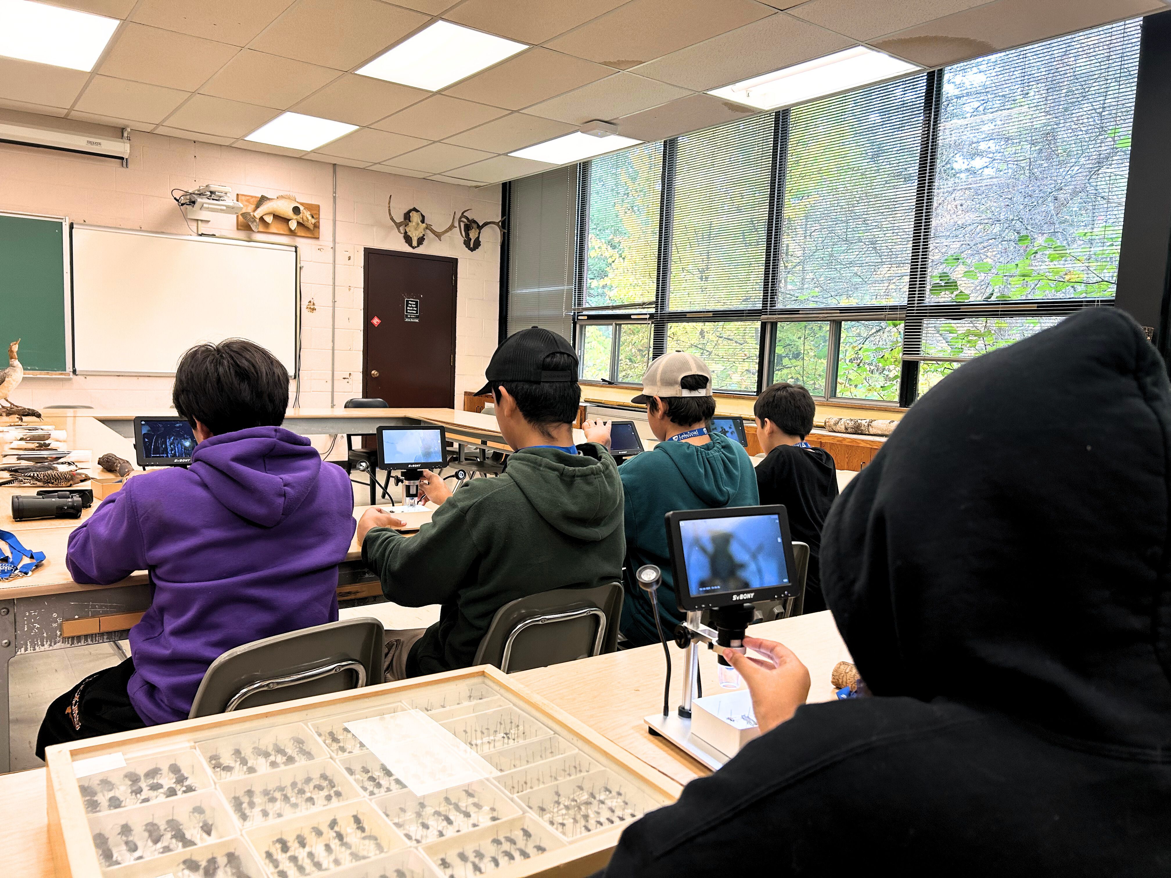 students used LCD digital microscopes to observe insects in more detail