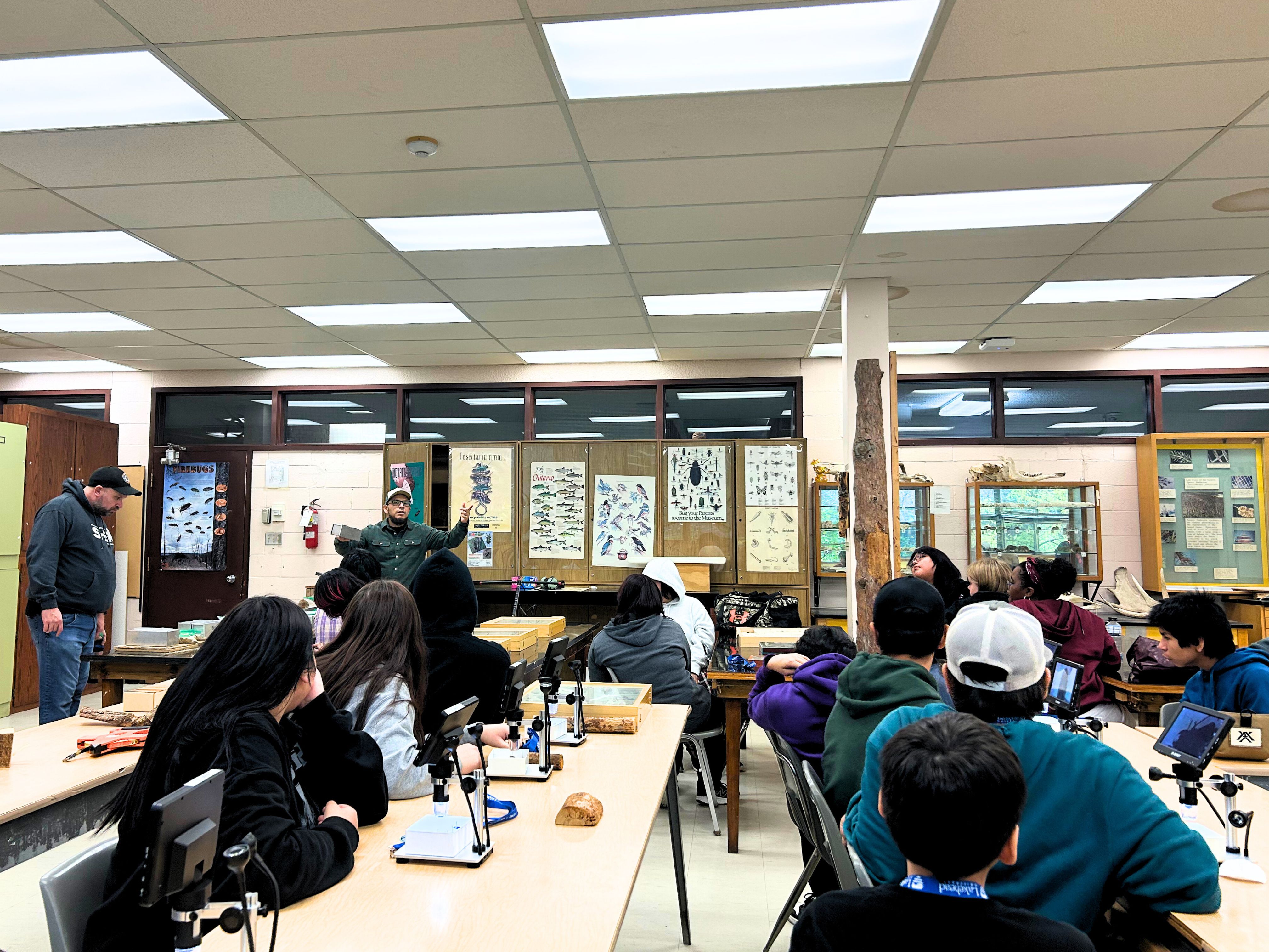 Students learnt about the importance of insects, birds and mammals and their relationships with the forest environments and the forest industry
